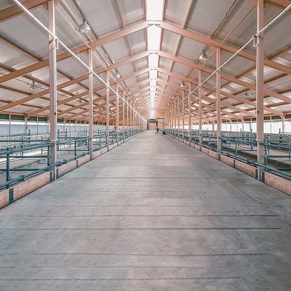 Large hangar. Empty spacious large room, hangar. Construction of the new barn.