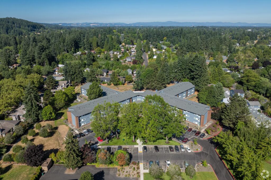 holly tree sidewalks
