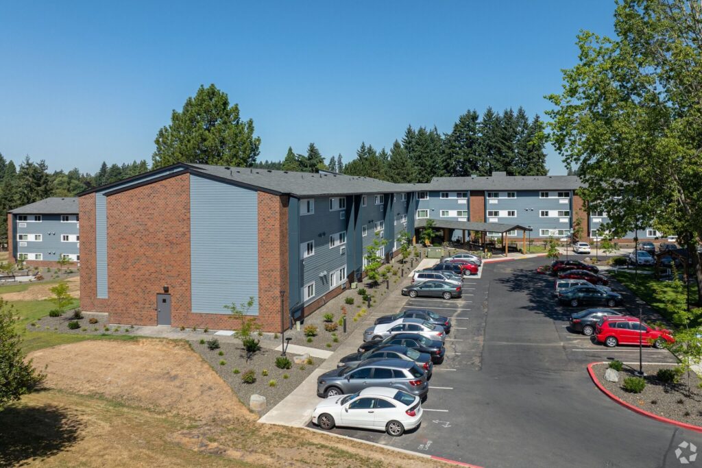 Holly tree, sidewalks, curbs